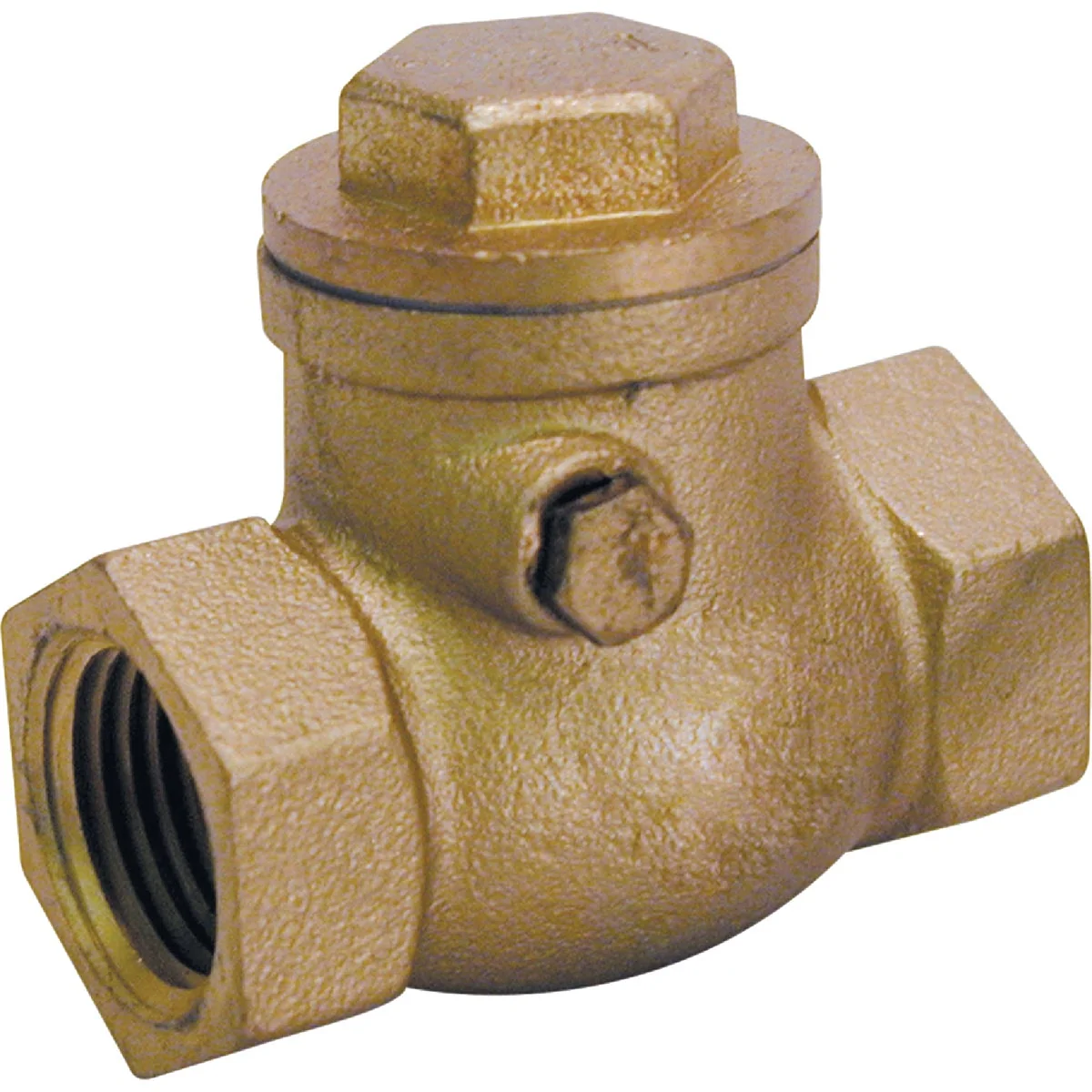 Artisan ProLine 1-1 2 In. Brass Swing Check Valve Trendy