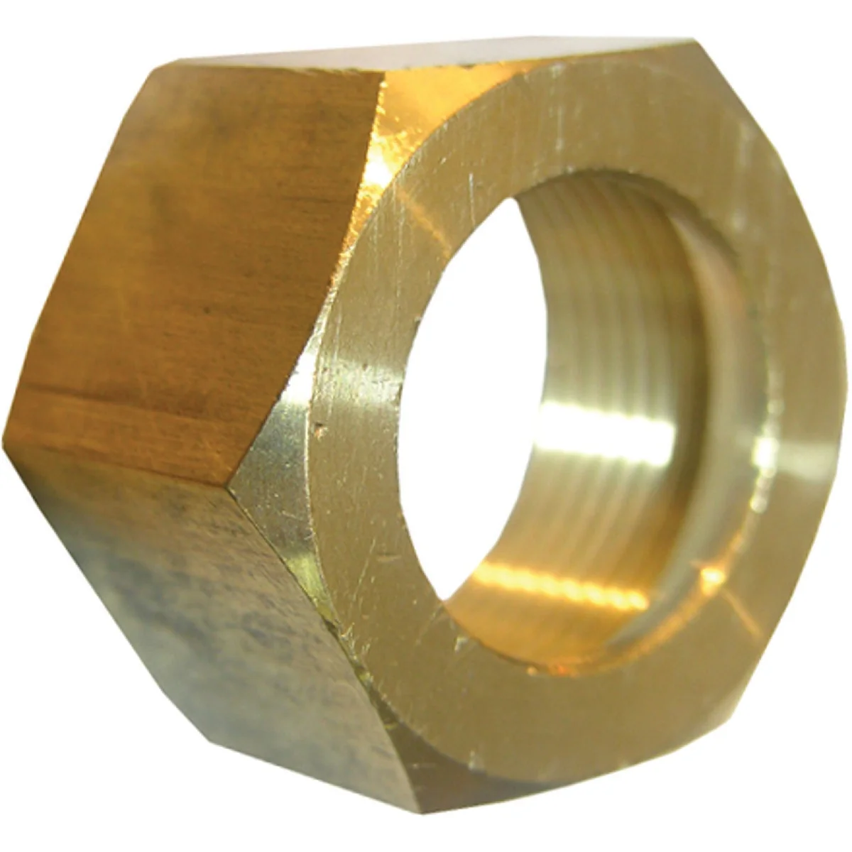 Elite Lasco 5 8 In. Brass Compression Nut 2-Pack Modern