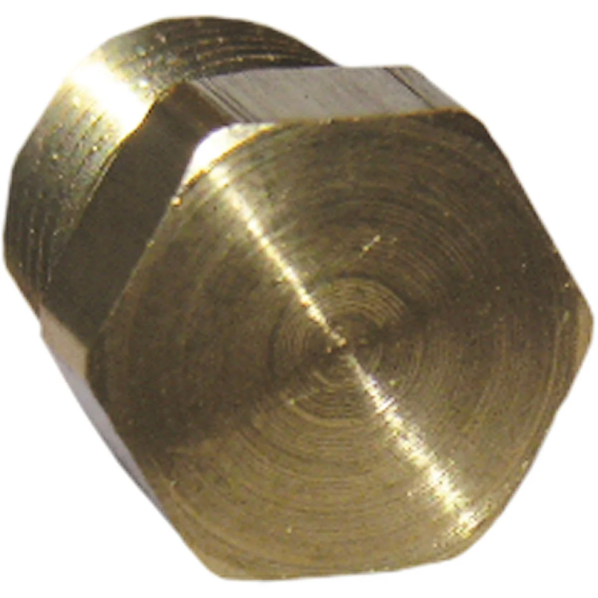 Eco-Friendly Lasco 1 8 In. MPT Brass Hex Head Plug Smart