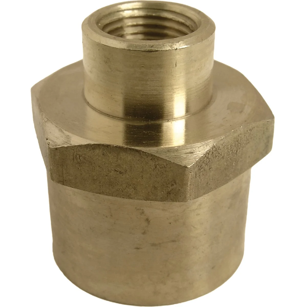 Pure Lasco 1 2 In. FPT x 1 8 In. FPT Yellow Brass Reducing Coupling Professional