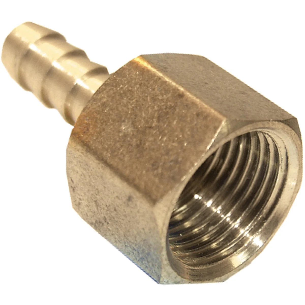 Fine Lasco 1 8 In. FPT X 5 16 In. Brass Hose Barb Adapter Outstanding