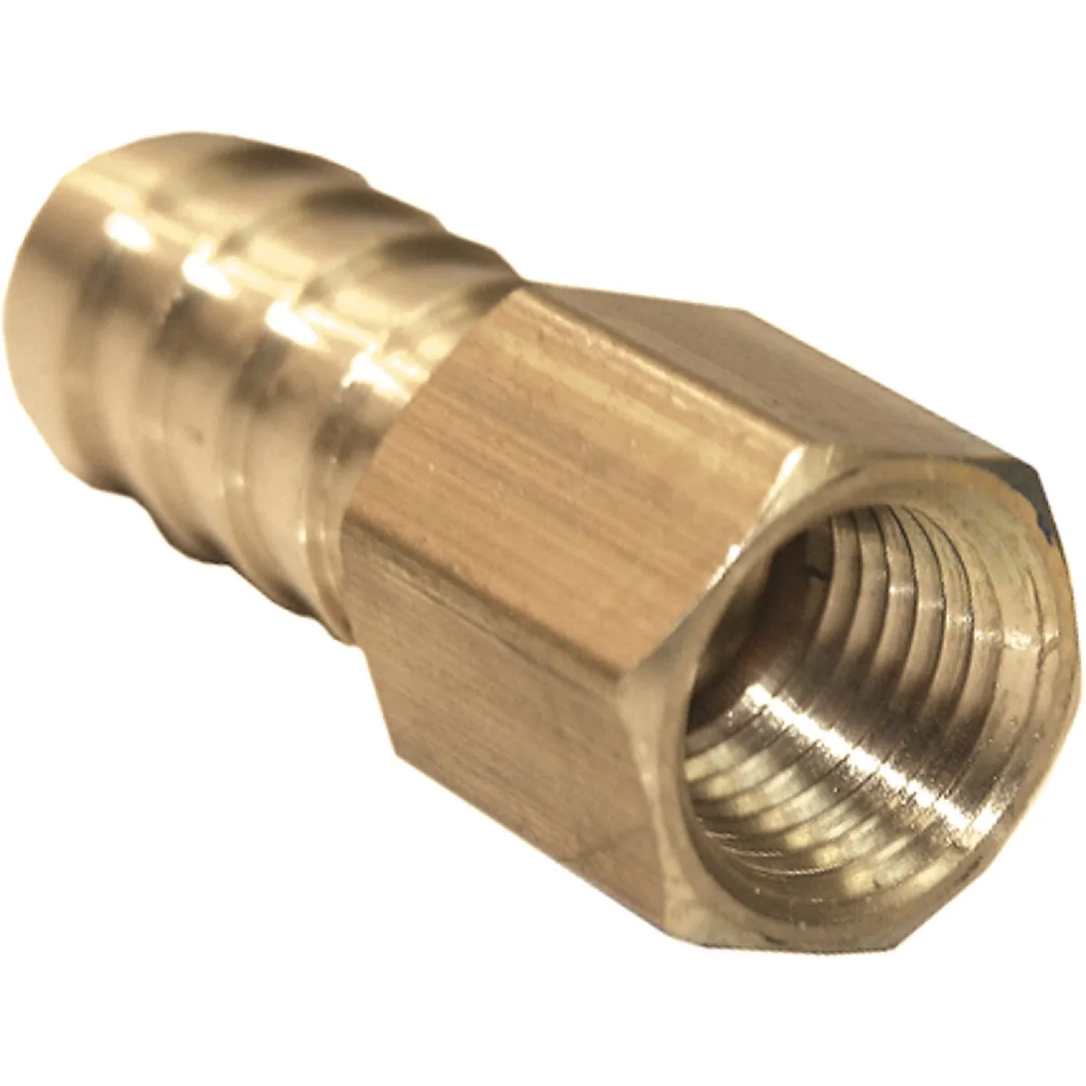 Secure Lasco 3 8 In. FPT x 5 16 In. Brass Hose Barb Adapter Stylish