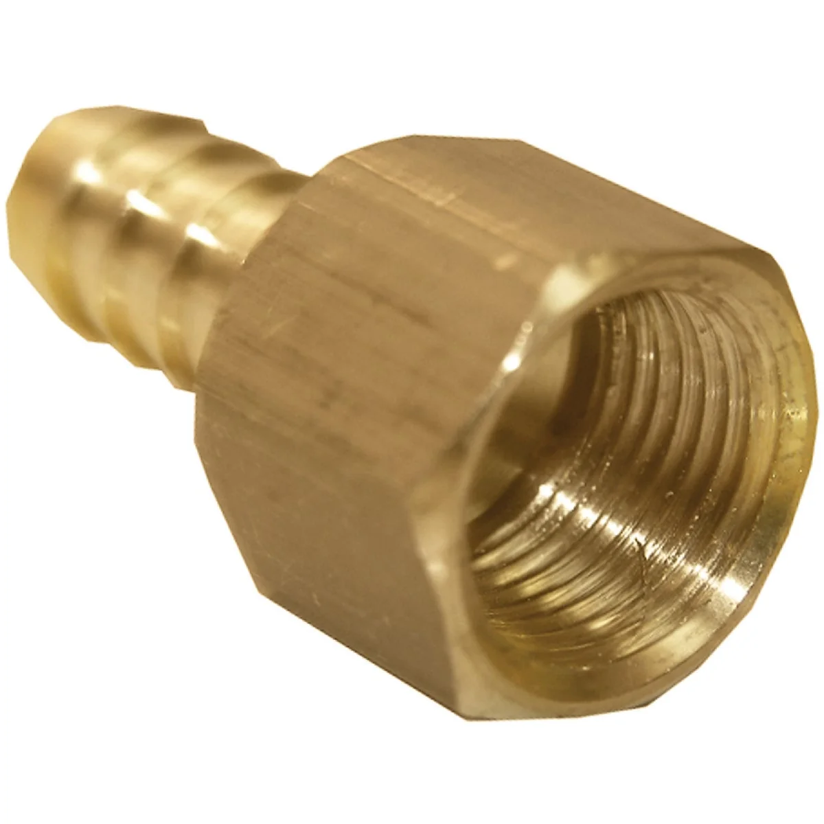 Exceptional Lasco 3 8 In. FPT x 3 8 In. Brass Hose Barb Adapter Safe