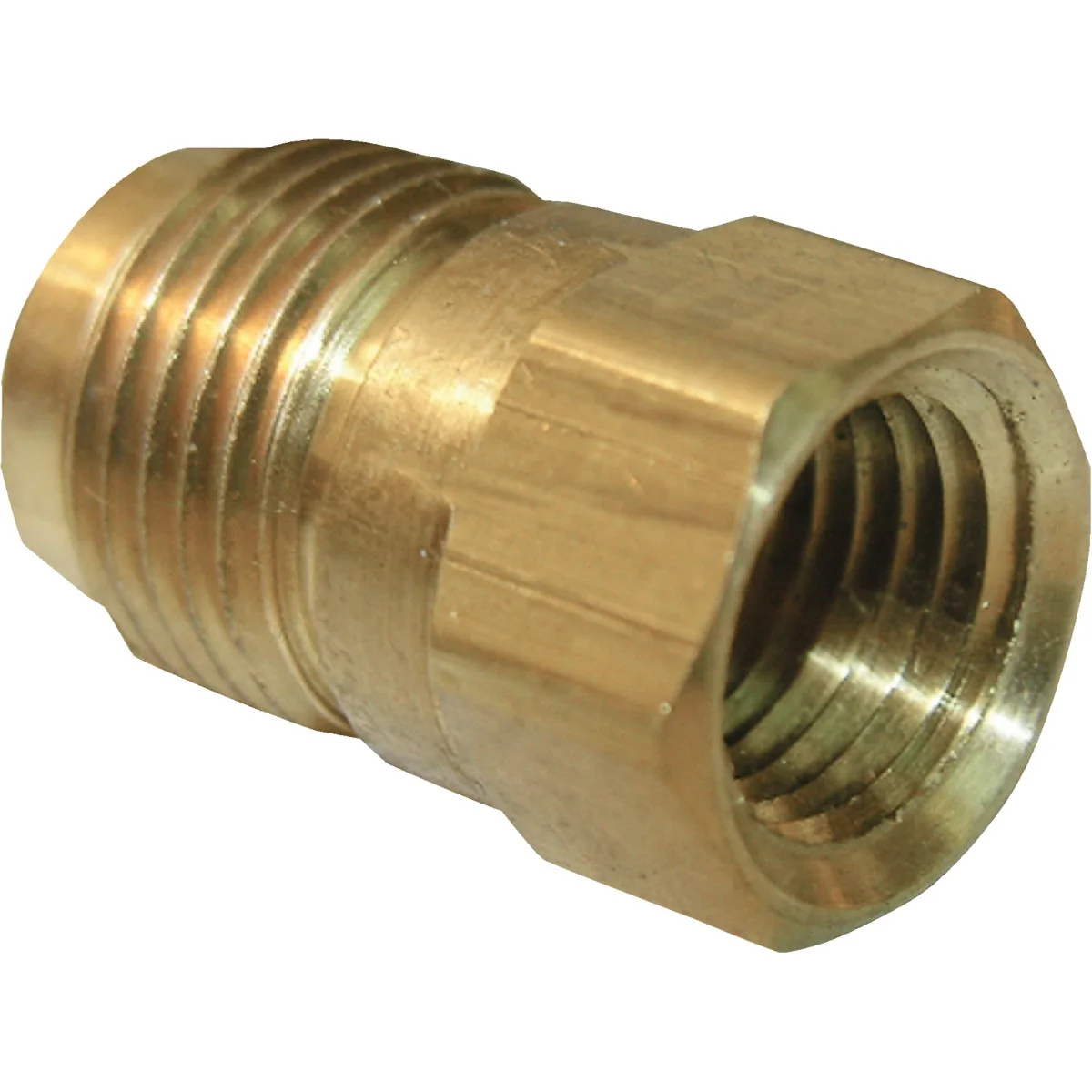 World-Class Lasco 3 8 In. M x 1 4 In. FPT Brass Flare Adapter Solid