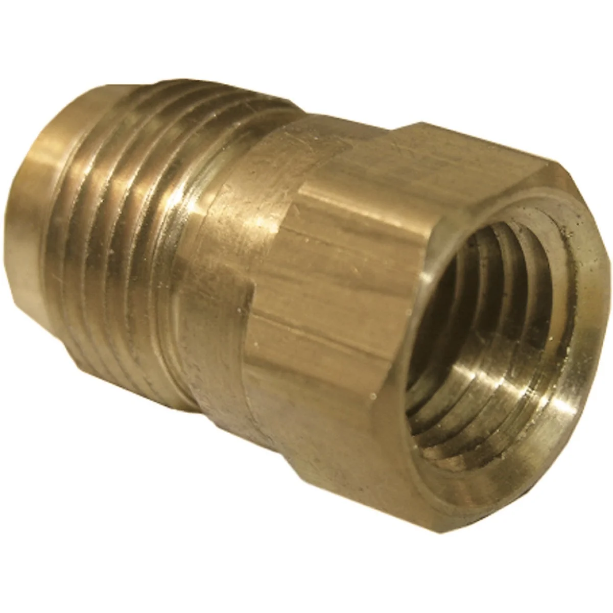 Minimalist Lasco 3 8 In. M x 1 8 In. FPT Brass Flare Adapter Durable