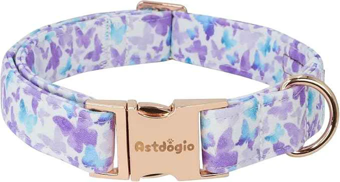 Stylish Elegant Butterfly Dog Collar Adjustable Comfortable Enhanced