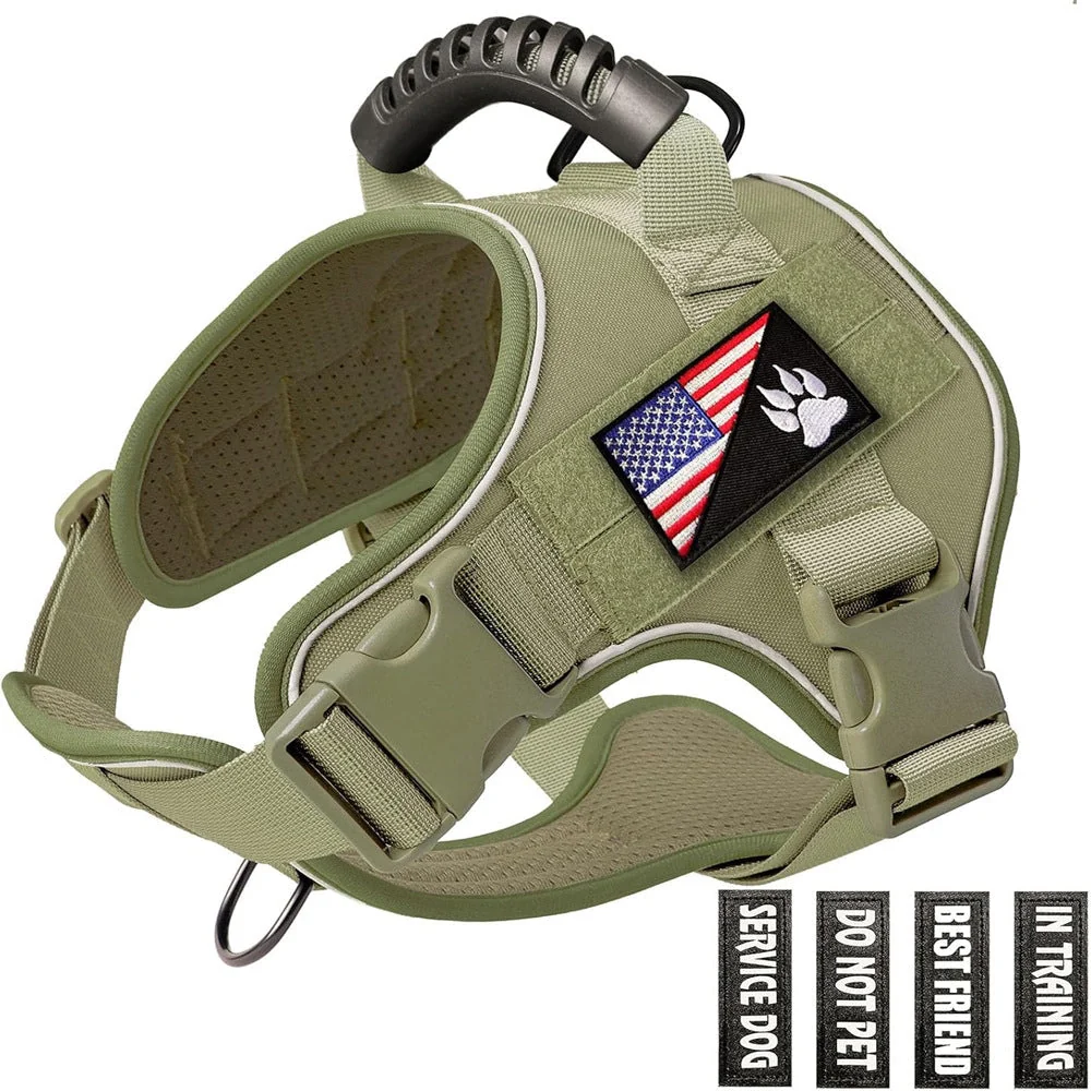 Original Design Pet Leash Original