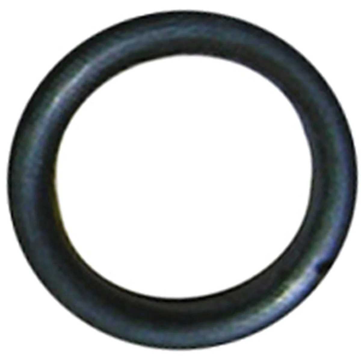 Organic Lasco 16 3 8 In. x 9 32 In. O-Ring High-Quality
