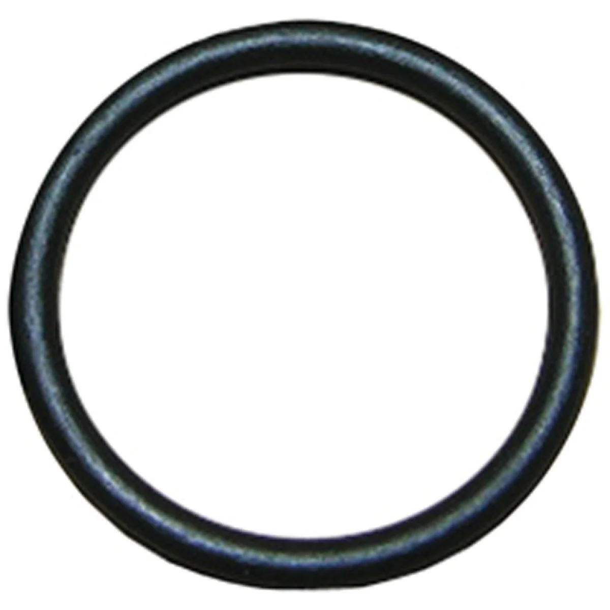 Original Design Lasco 65 1-3 16 In. x 1-3 8 In. O-Ring Smart