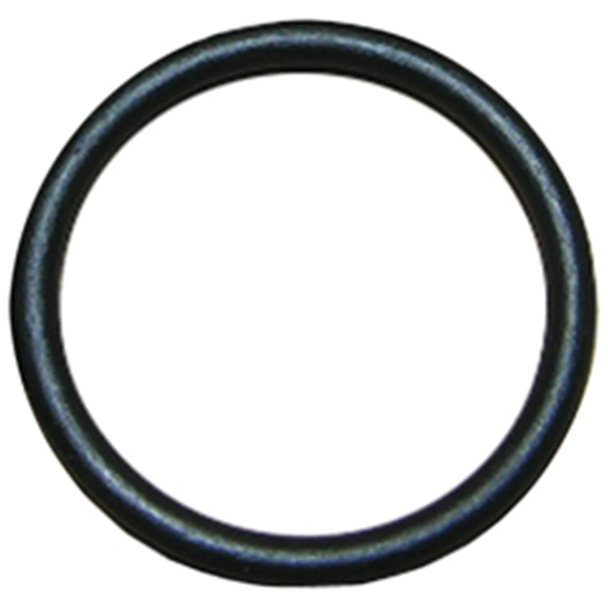 Sophisticated Lasco 44 13 16 In. x 1 In. O-Ring Carefully Designed