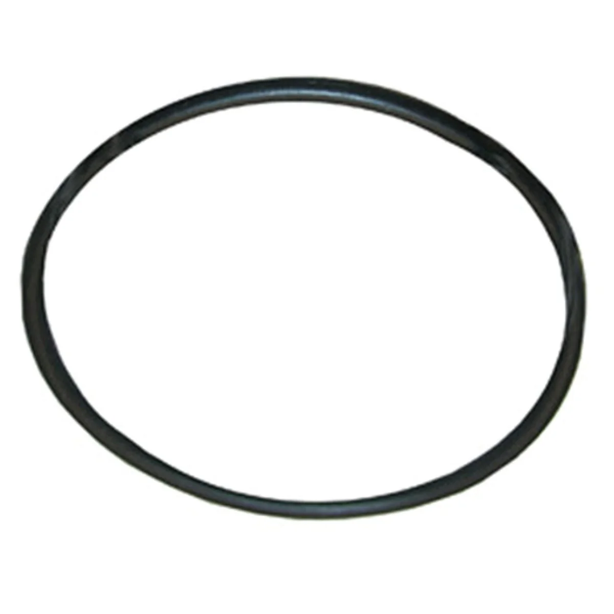 Trendy Lasco 77 1-7 16 In. x 1-5 8 In. O-Ring Secure
