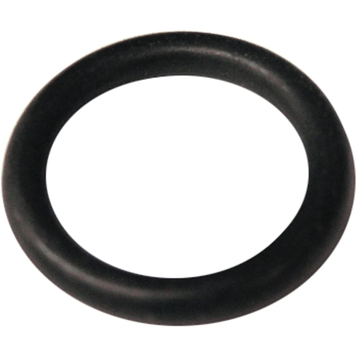 Fine Crafted Lasco 39 11 16 In. x 15 16 In. O-Ring First-Class