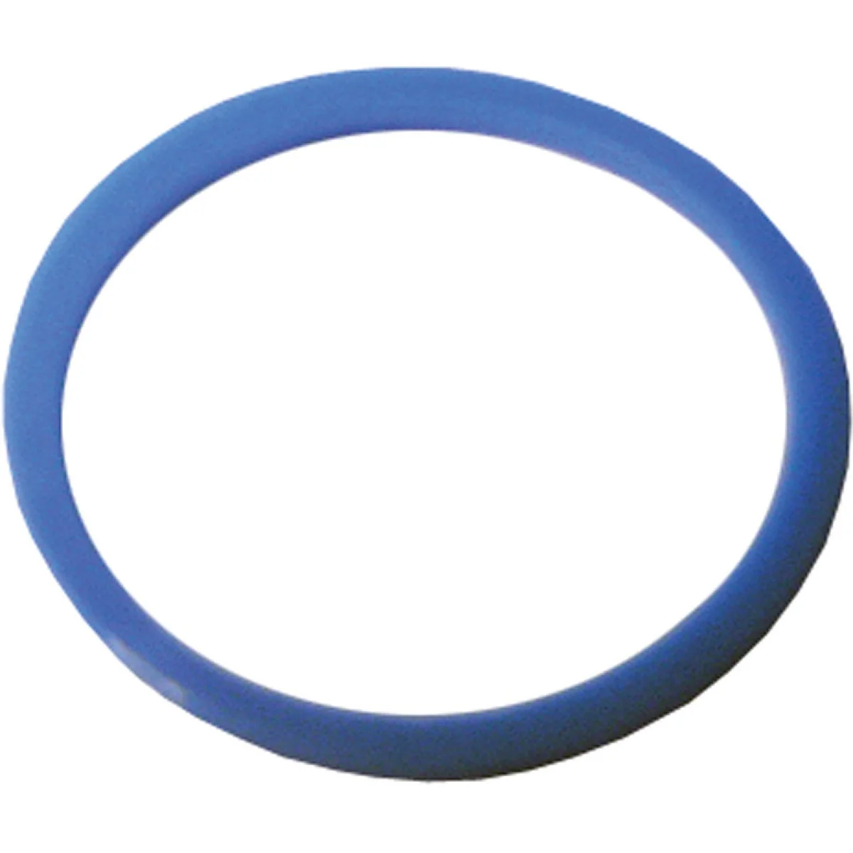 Relaxed Lasco 23 32 In. Blue Nylon Faucet Washer Secure