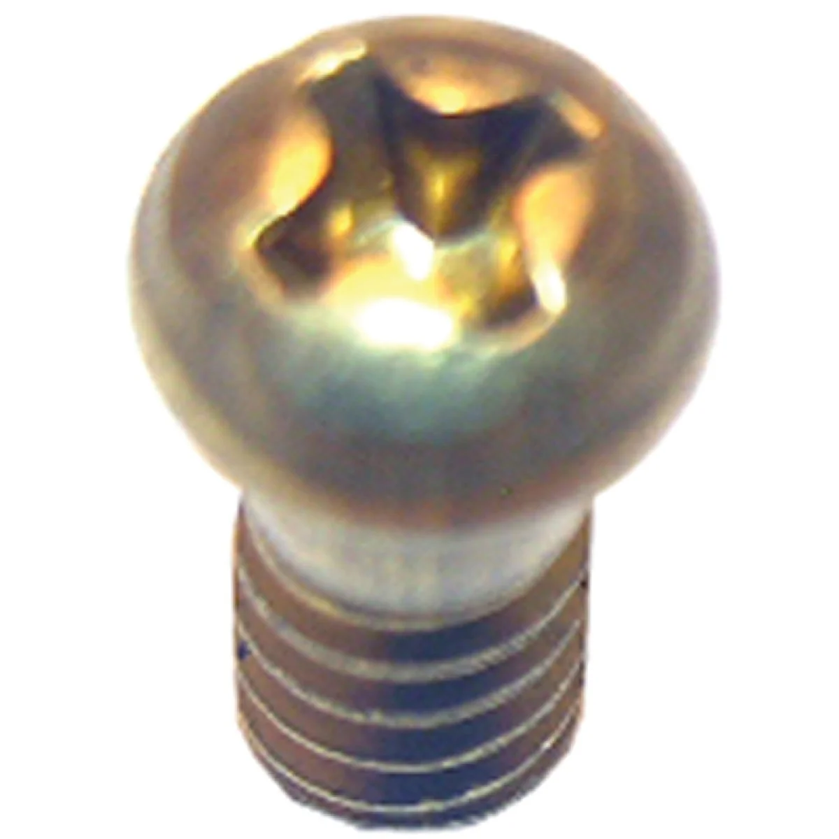 Sophisticated Lasco Round Head 3 8 In. 10 Faucet Screw Innovative