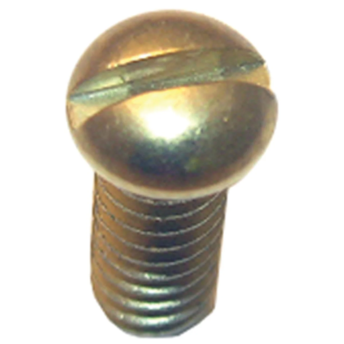 Durable Lasco Round Head 1 2 In. 10 Faucet Screw Next-Generation