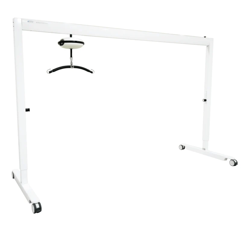 Eco-Friendly Mobile Flex 4000 for Luna Ceiling Lift Modern