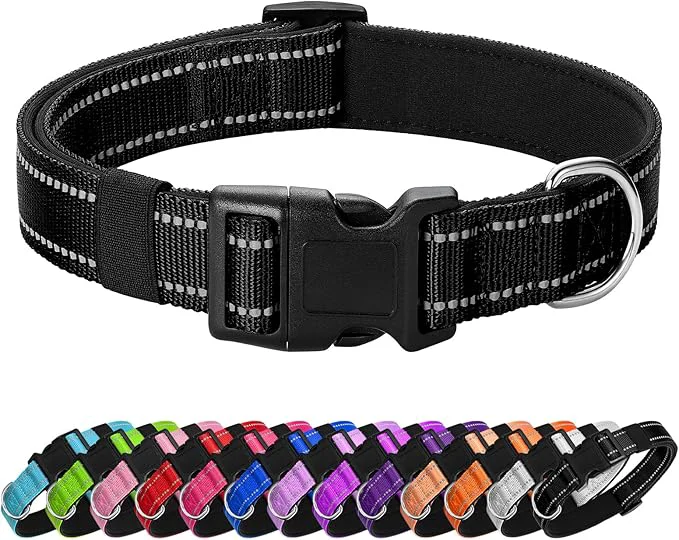 Selected Reflective Dog Collar Padded Crafted
