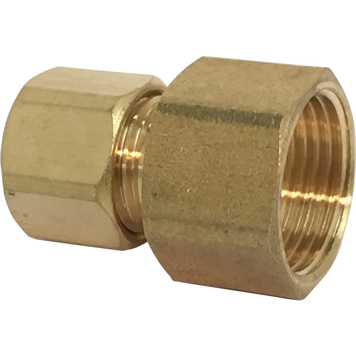 Crafted Sioux Chief 1 4 In. Compression X 1 4 In. Female Flare Adapter with Gasket For Ice Maker Connection Minimalist