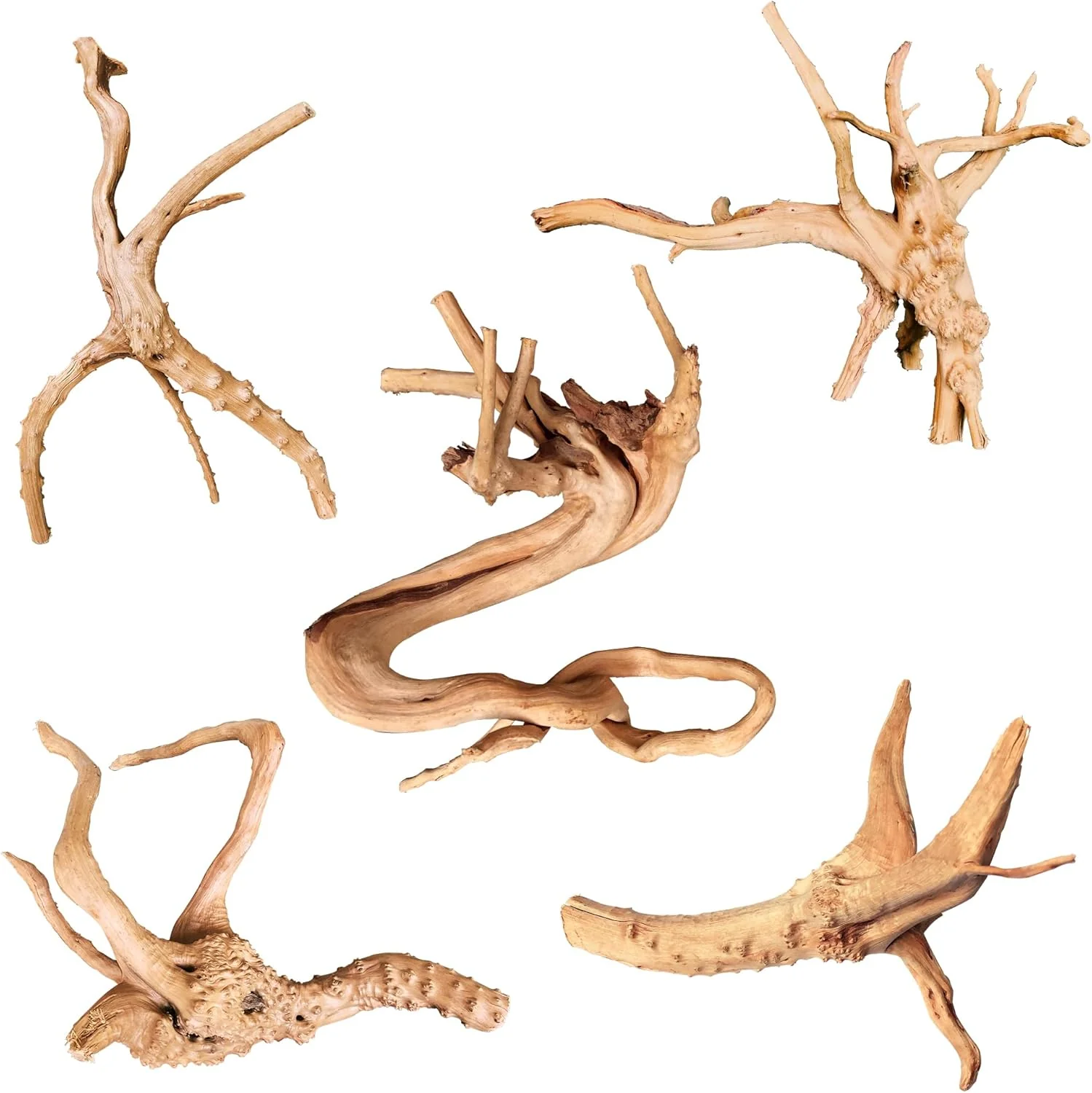 Trusted majoywoo Natural Driftwood for Aquarium Decor Fish Tank Decorations Assorted Spider Wood Branch 4-8 5 Pcs Reptile Decor Sustainable