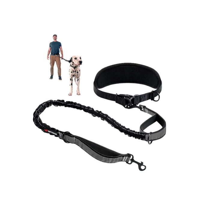Contemporary Heavy Duty Hands Dog Leash Expertly Made
