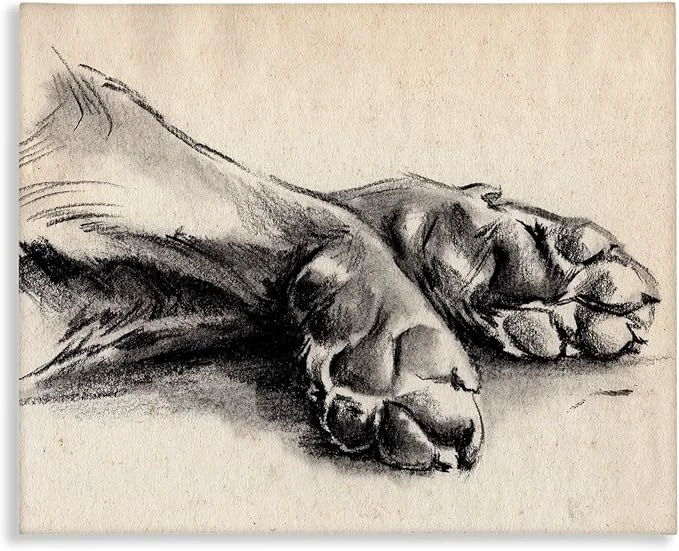 Verified Stupell Industries Dog Paw Charcoal Design Designed By Jennifer Paxton Parker 40 x 30 Canvas Wall ArtAbout This Fine