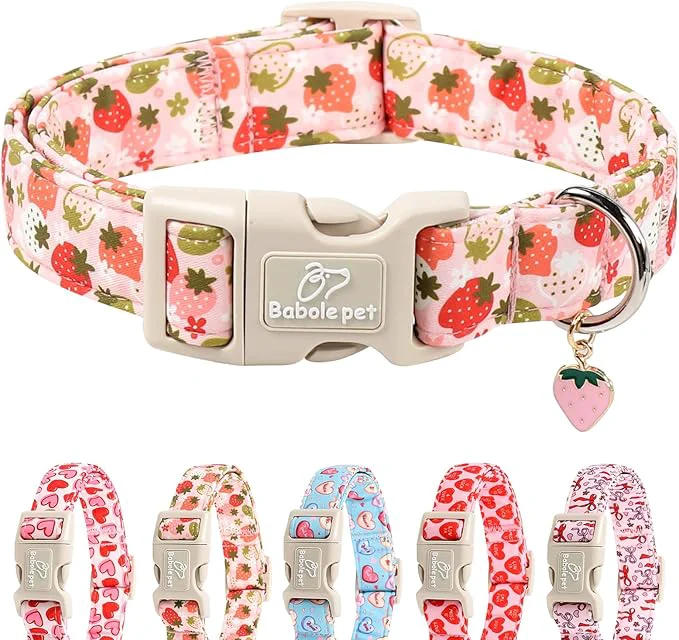 World-Class Strawberry Dog Collar for Small Dogs Soft