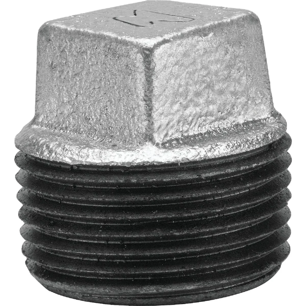 Advanced Anvil 1 4 In. Malleable Iron Galvanized Plug Healthy