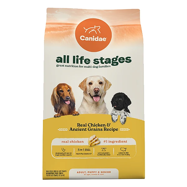 Carefully Designed Pets on Broadway Long-Lasting