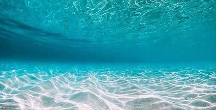 Crafted 48X20IN Natural Undersea Aquarium Background Undersea Beach Fish Tank Background with 8 EVA Double-Sided Tape Effective
