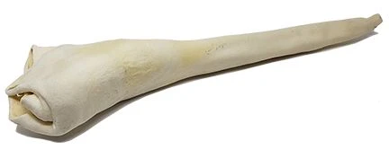 Verified Open Range Full Length Bull Tail Open Range Full Length Bull Tail Easy-to-Use