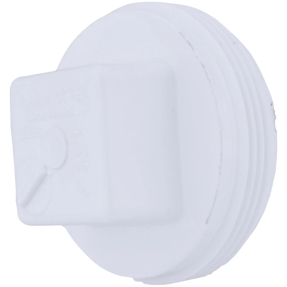 Superior Charlotte Pipe 2 In. Schedule 40 DWV Cleanout PVC Plug Quality