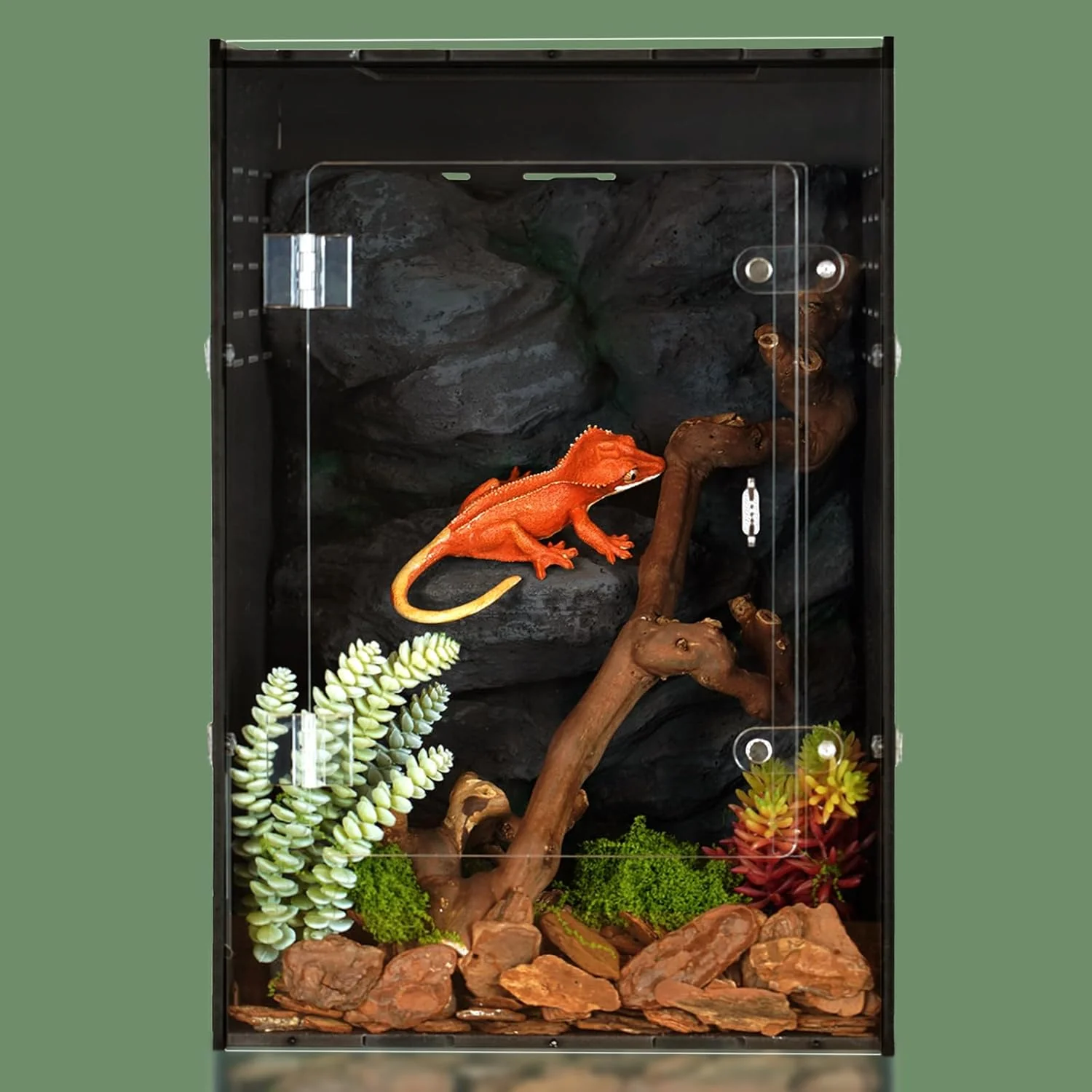 First-Class 12x12x18 Reptile Enclosure – Acrylic Reptile Tank for Gecko Snake and Lizard – Compact PVC Terrarium for Small Pets Effective