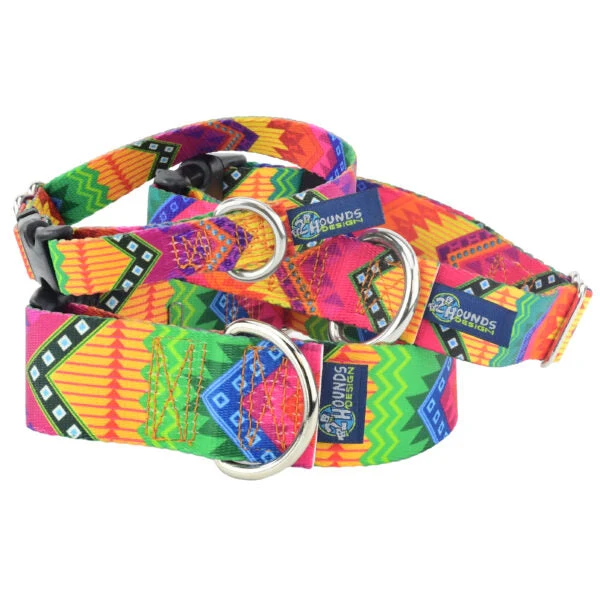 Professional BFF Friends Martingale Dog Collar – EarthStyle Pure
