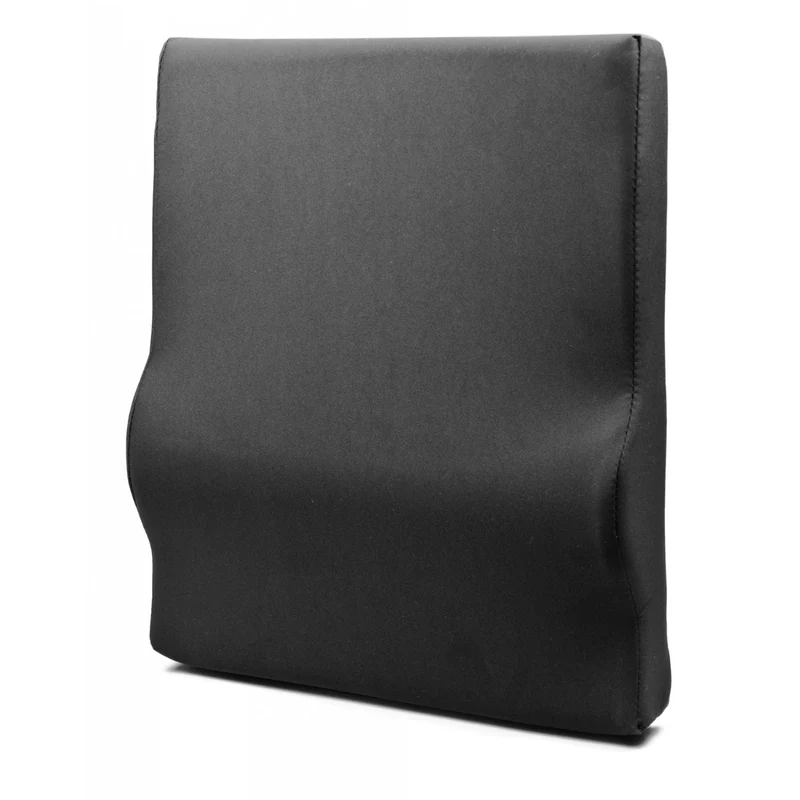 Outstanding Graham Field Lumbar Cushions by Everest Jennings Original