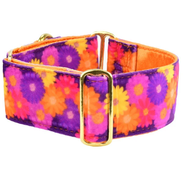 Relaxed Gerbera Daisy Elite Velvet Martingale Dog Collar Fine Crafted