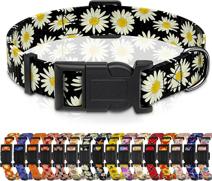 Fine Crafted Dog Collar Daisy Boys Girls Puppy Collar Proven