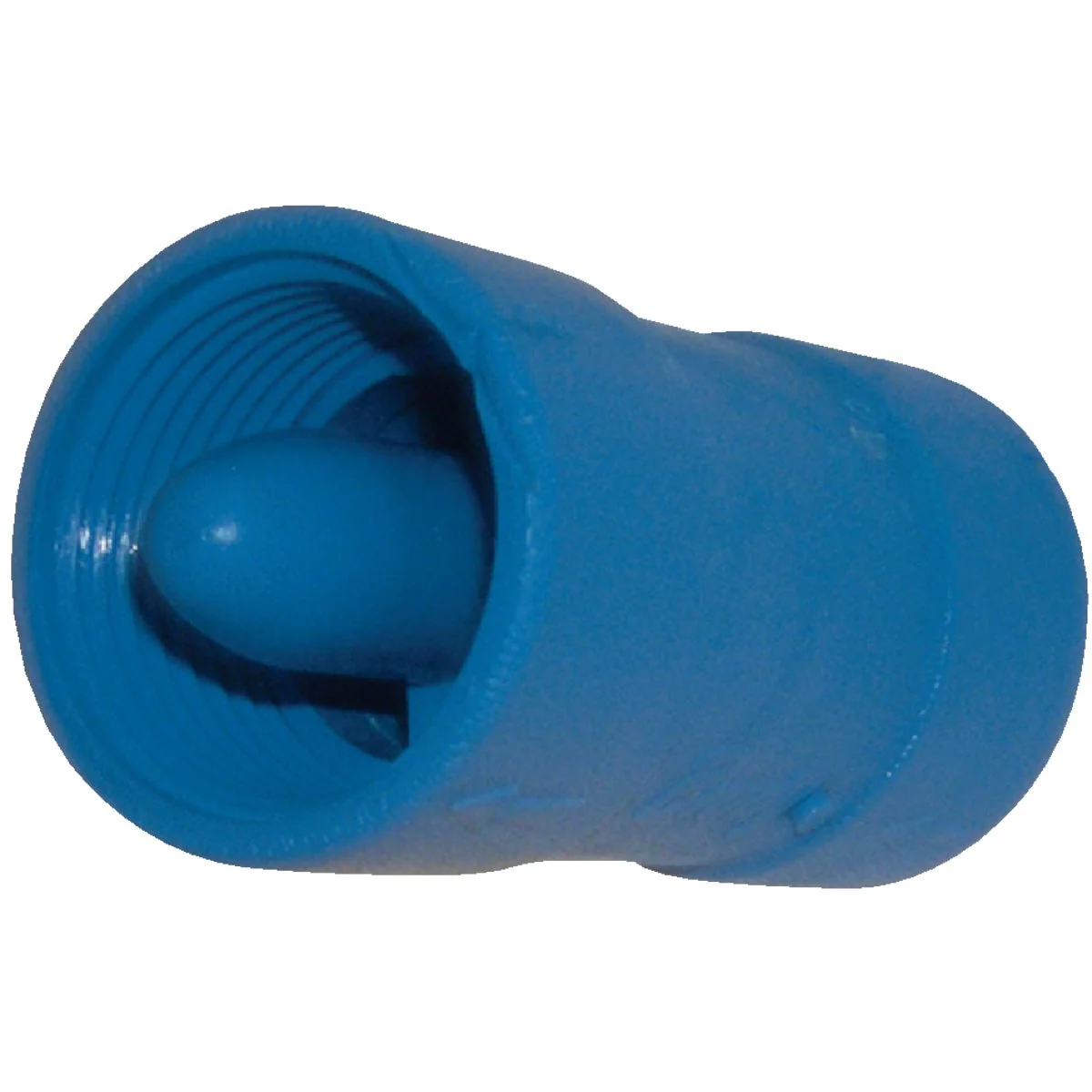 Smart Campbell Brady 1 In. Acetal Polymer Spring Loaded Check Valve Quality