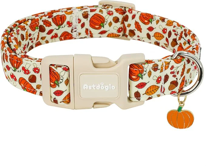 User-Friendly Fall Dog Collar – Halloween Thanksgiving Dog Collars Certified