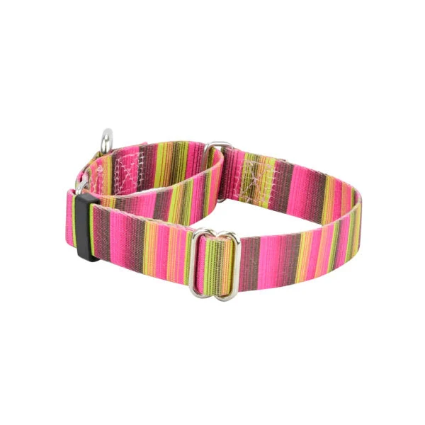 Reusable Bonnie Martingale Dog Collar – EarthStyle Exceptional