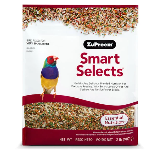 Practical Pets on Broadway Exclusive