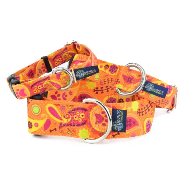 Fine Orange Paisley Martingale Dog Collar – EarthStyle Exclusive