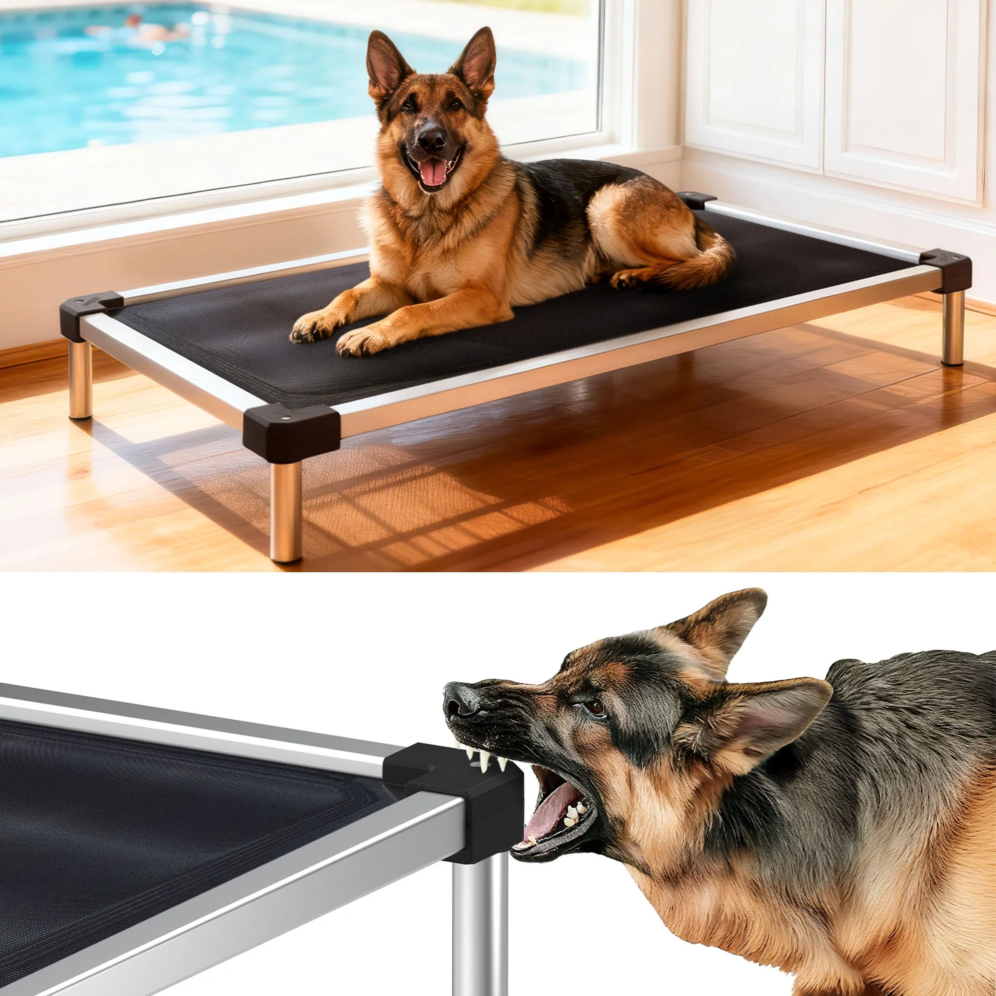 Practical FXW TitanNest Chew-Proof d Dog Bed – Large Indoor Outdoor Raised Cot 50 x 31 x 7.3 in Black Traditional