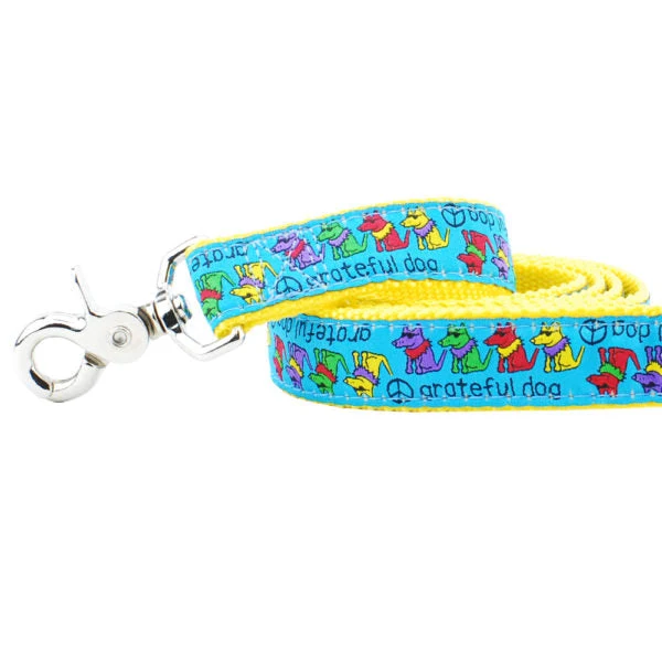Classic 1″ Grateful Dog Teddy The Dog 5ft Ribbon Dog Leash Sophisticated