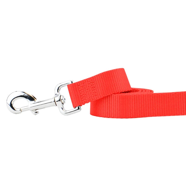 Solid Neon Orange Nylon Dog Leash Reliable