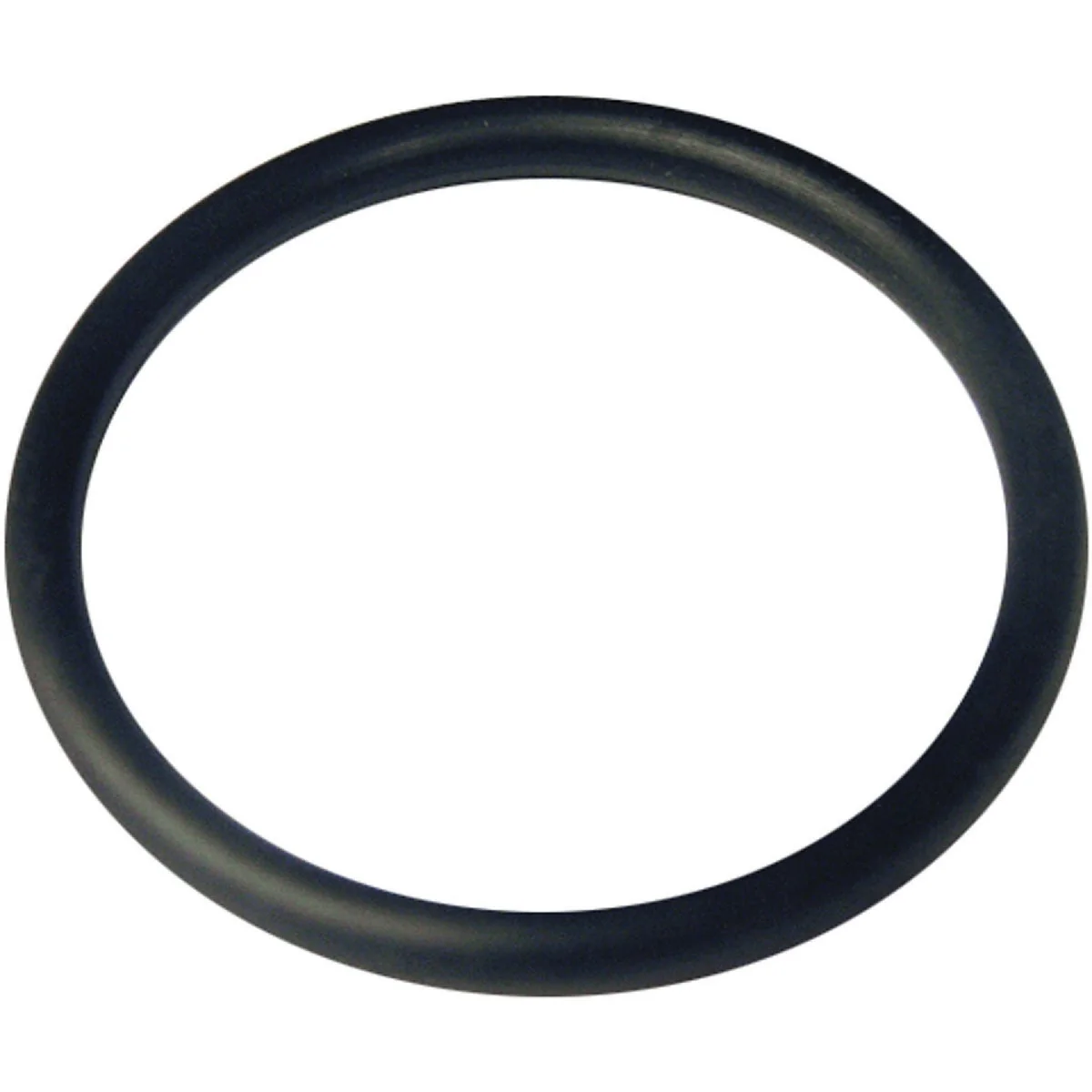 Organic Lasco 81 1-1 2 In. x 1-3 4 In. O-Ring Exclusive