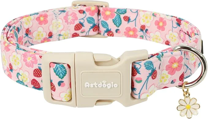 Premium Dog Collar for Medium Dogs Spring Pink Dog Collars Excellent