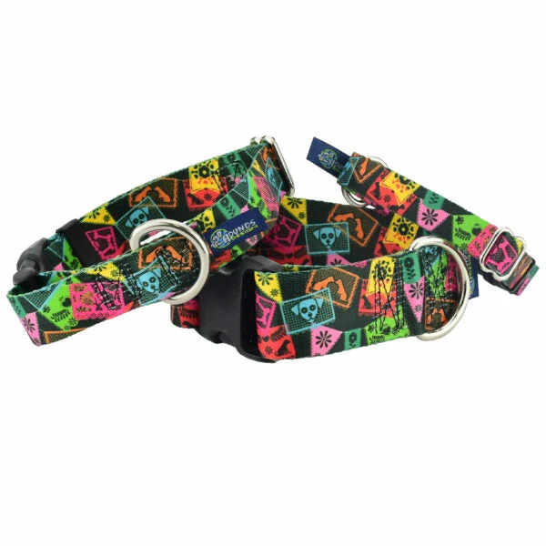Casual Paper Flags Dog Collar – EarthStyle Secure