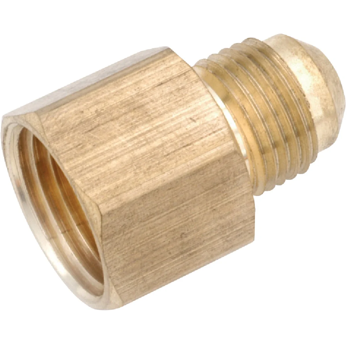 Proven Anderson Metals 3 8 In. x 1 4 In. Brass Low Lead Female Flare Connector Trendy