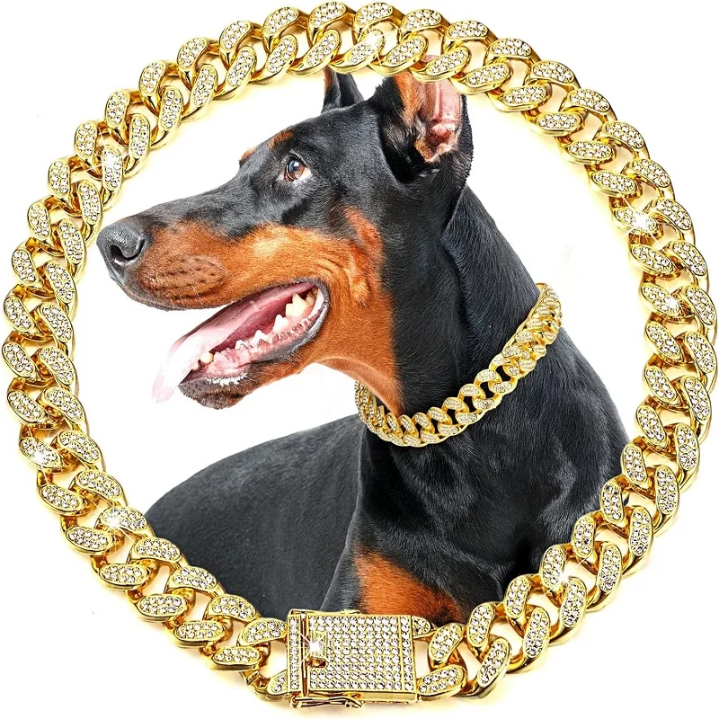 Trendy Luxury Gold Stainless Steel Dog Chain Collar with Jeweled Accents Clean