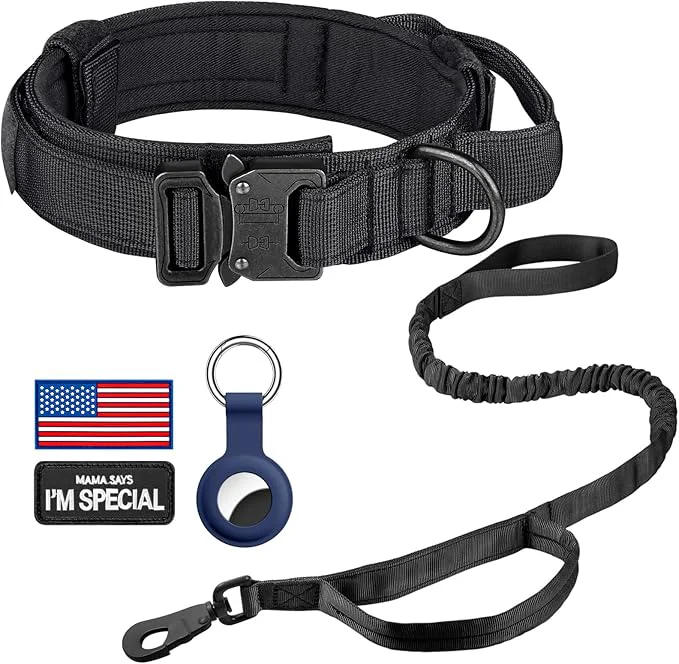 Excellent DAGANXI Tactical Dog Collar Adjustable Military Training Nylon Dog Collar Efficient
